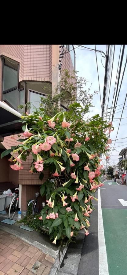 東洋の家-26 Square Meter Treadmi Garden House Apartment Tokyo Exterior photo